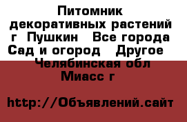 Питомник декоративных растений г. Пушкин - Все города Сад и огород » Другое   . Челябинская обл.,Миасс г.